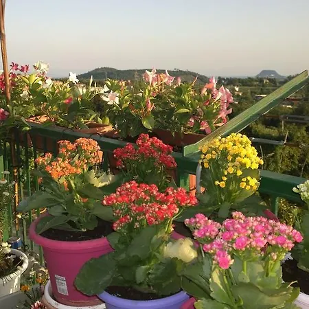 Miramare Apartamento *