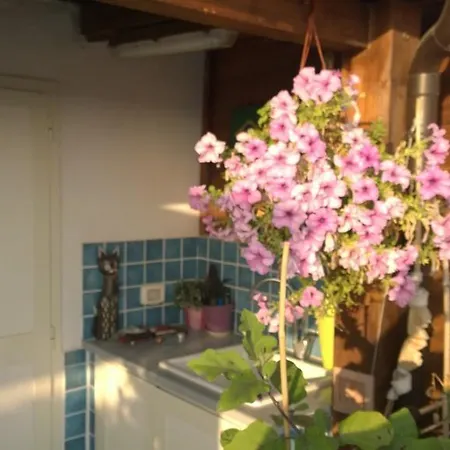 Miramare Apartamento *